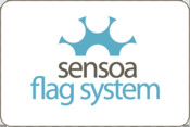 logo Flag System kleur kader