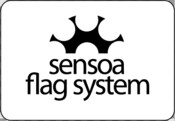 logo Flag System zwart wit kader